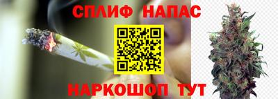 амф Волгодонск