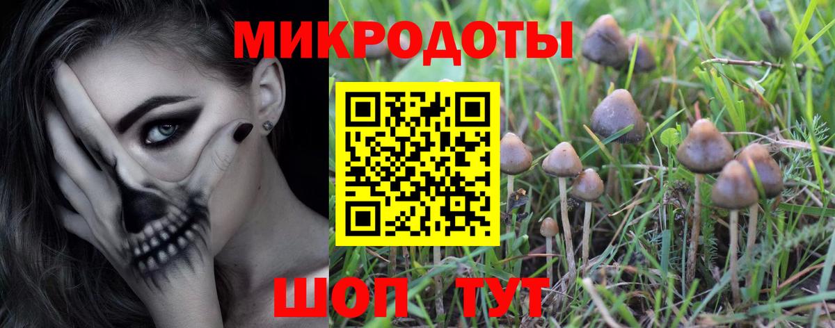Галлюциногенные грибы GOLDEN TEACHER Шелехов