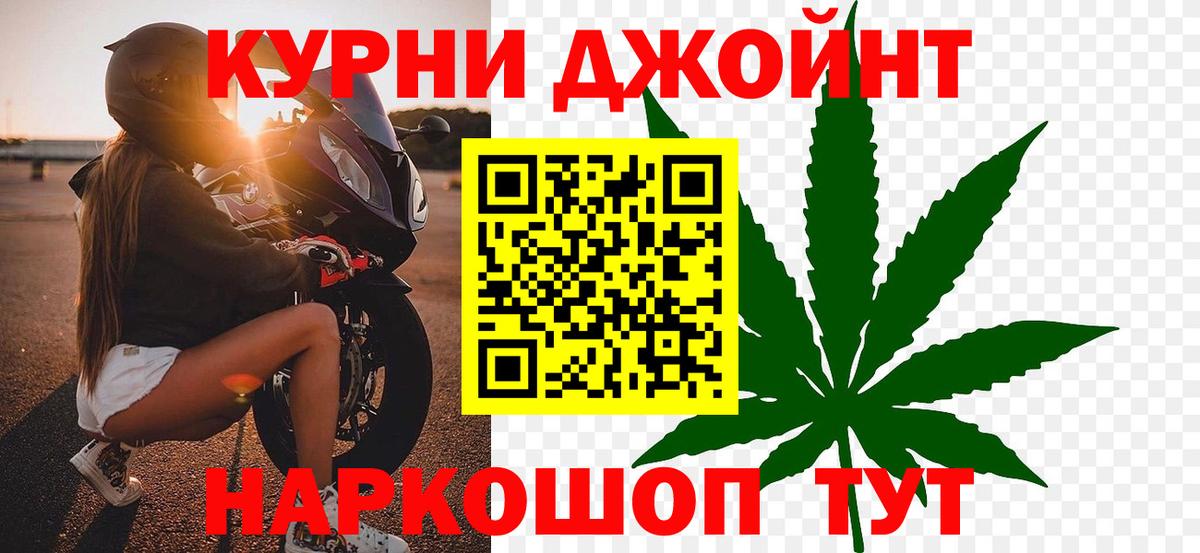 Бошки Шишки планчик Шелехов